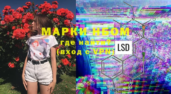 индика Елизово