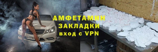 индика Елизово