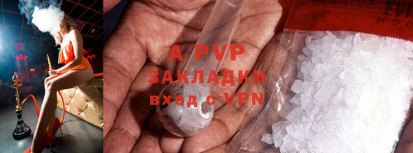индика Елизово