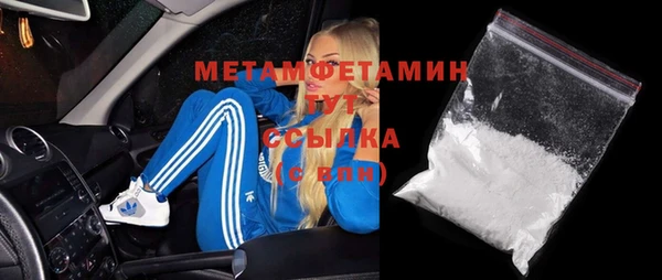 индика Елизово