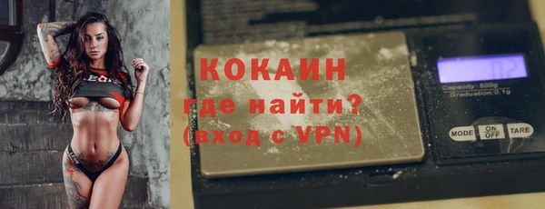 СК Ельня