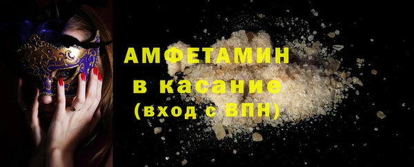 индика Елизово