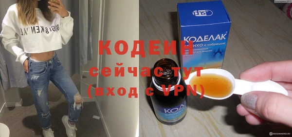 индика Елизово