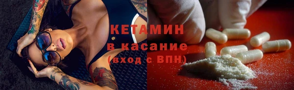 индика Елизово