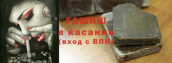 индика Елизово