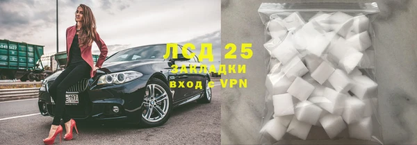 СК Ельня