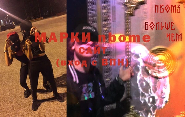 индика Елизово