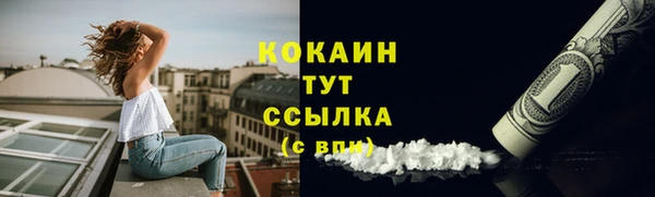 индика Елизово