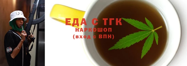 СК Ельня