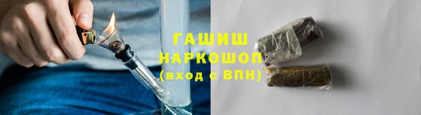 индика Елизово