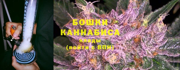 СК Ельня