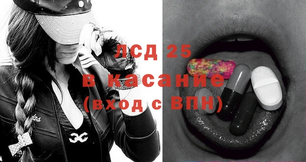 индика Елизово