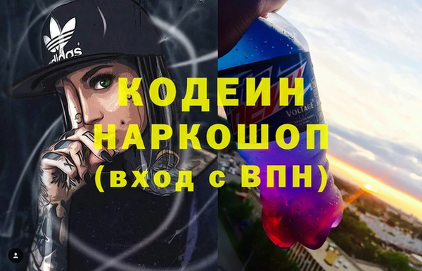 СК Ельня