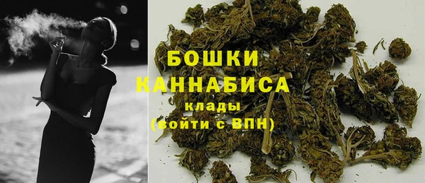 СК Ельня