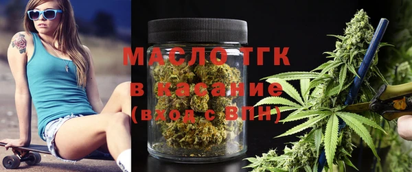 индика Елизово