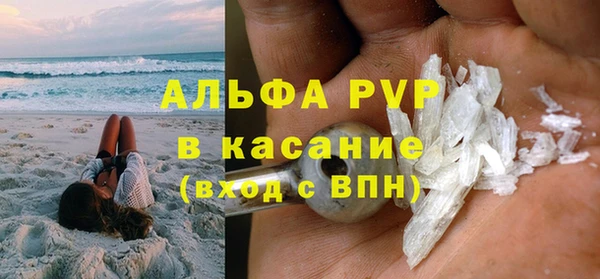 индика Елизово