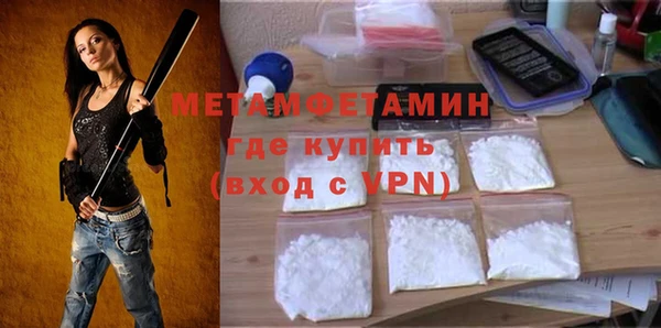 индика Елизово