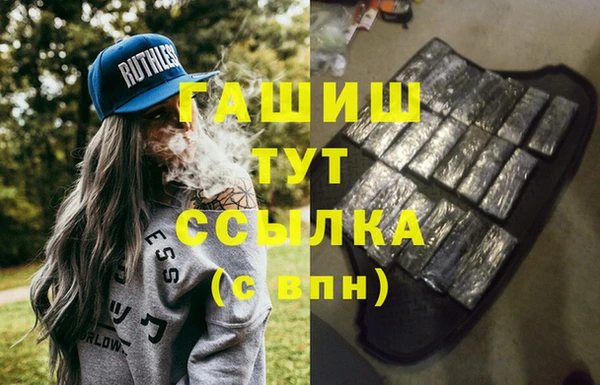 СК Ельня