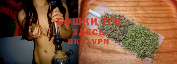СК Ельня