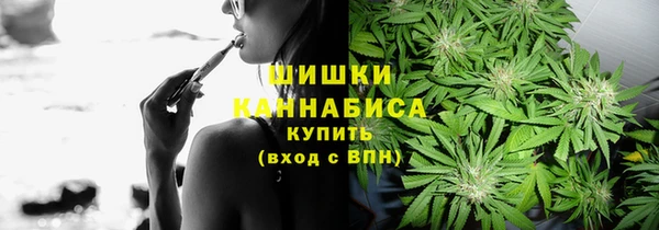 СК Ельня